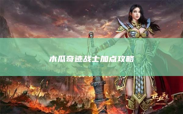 木瓜奇迹战士加点攻略