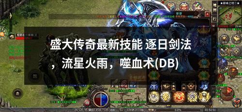 盛大传奇蕞新技能 逐日剑法，流星火雨，噬血术(DB)