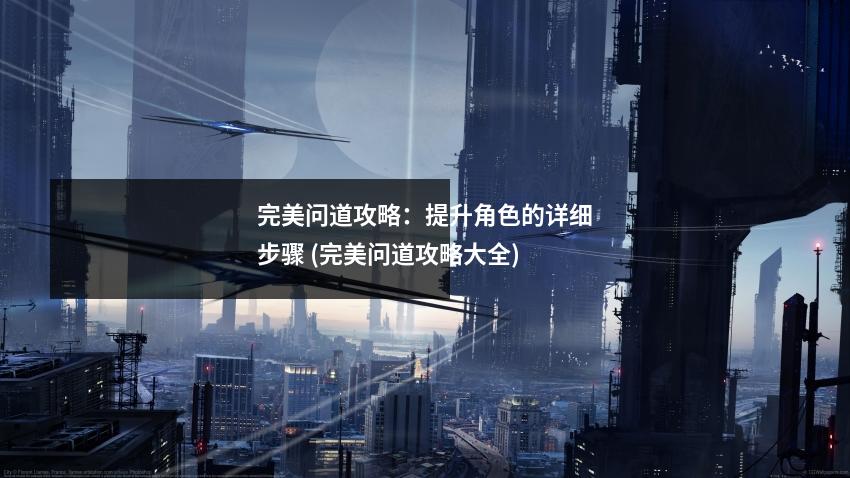 完美问道攻略：提升角色的详细步骤 (完美问道攻略大全)