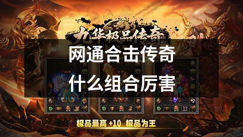 网通合击传奇什么组合厉害