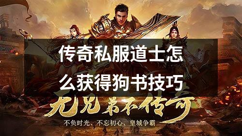 传奇私服道士怎么获得狗书技巧
