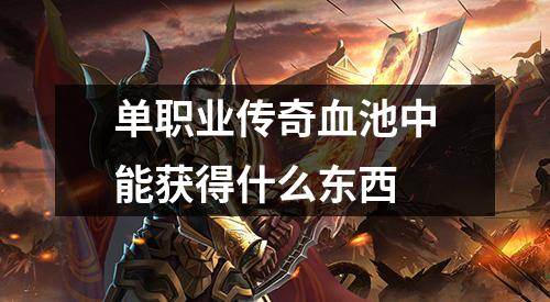 单职业传奇血池中能获得什么东西