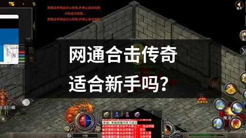 网通合击传奇适合新手吗?