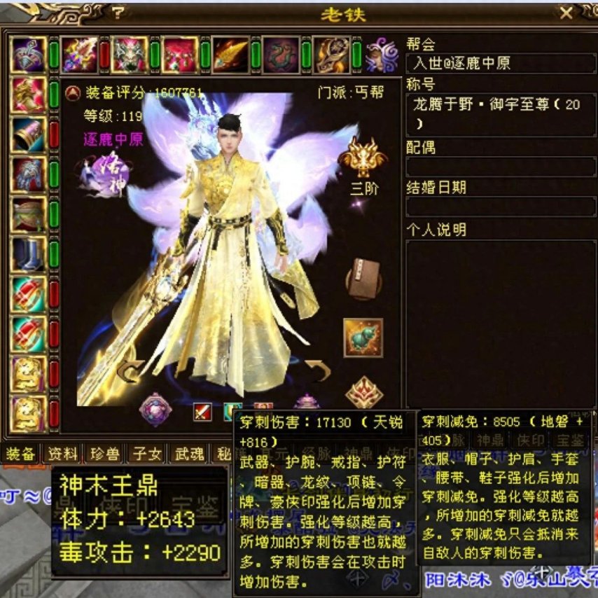 天龙八部全服第九丐帮老铁装备