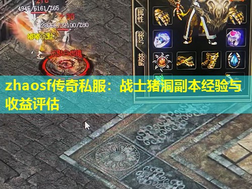 zhaosf传奇私服：战士猪洞副本经验与收益评估